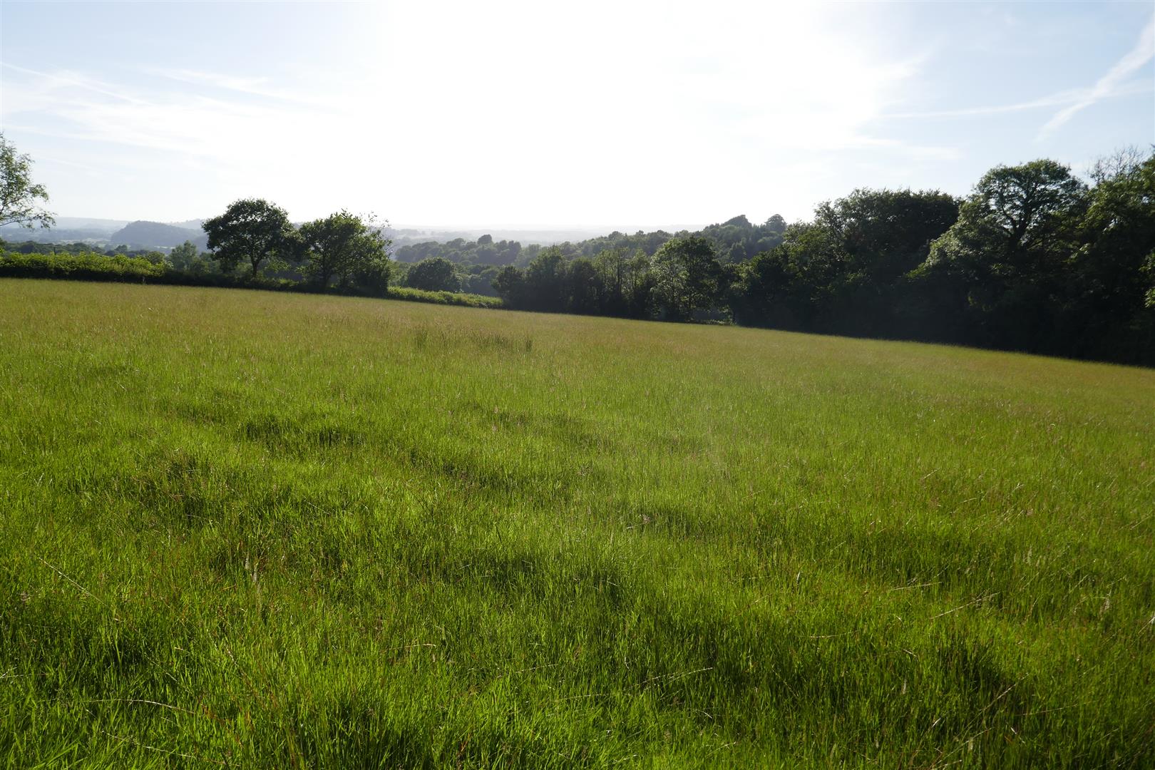 LAND